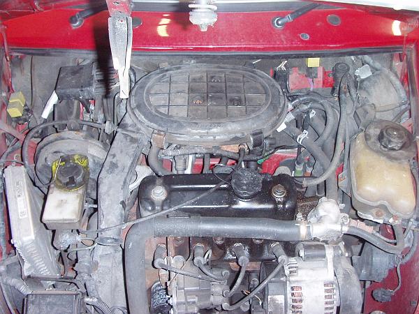 first lot of photos 127